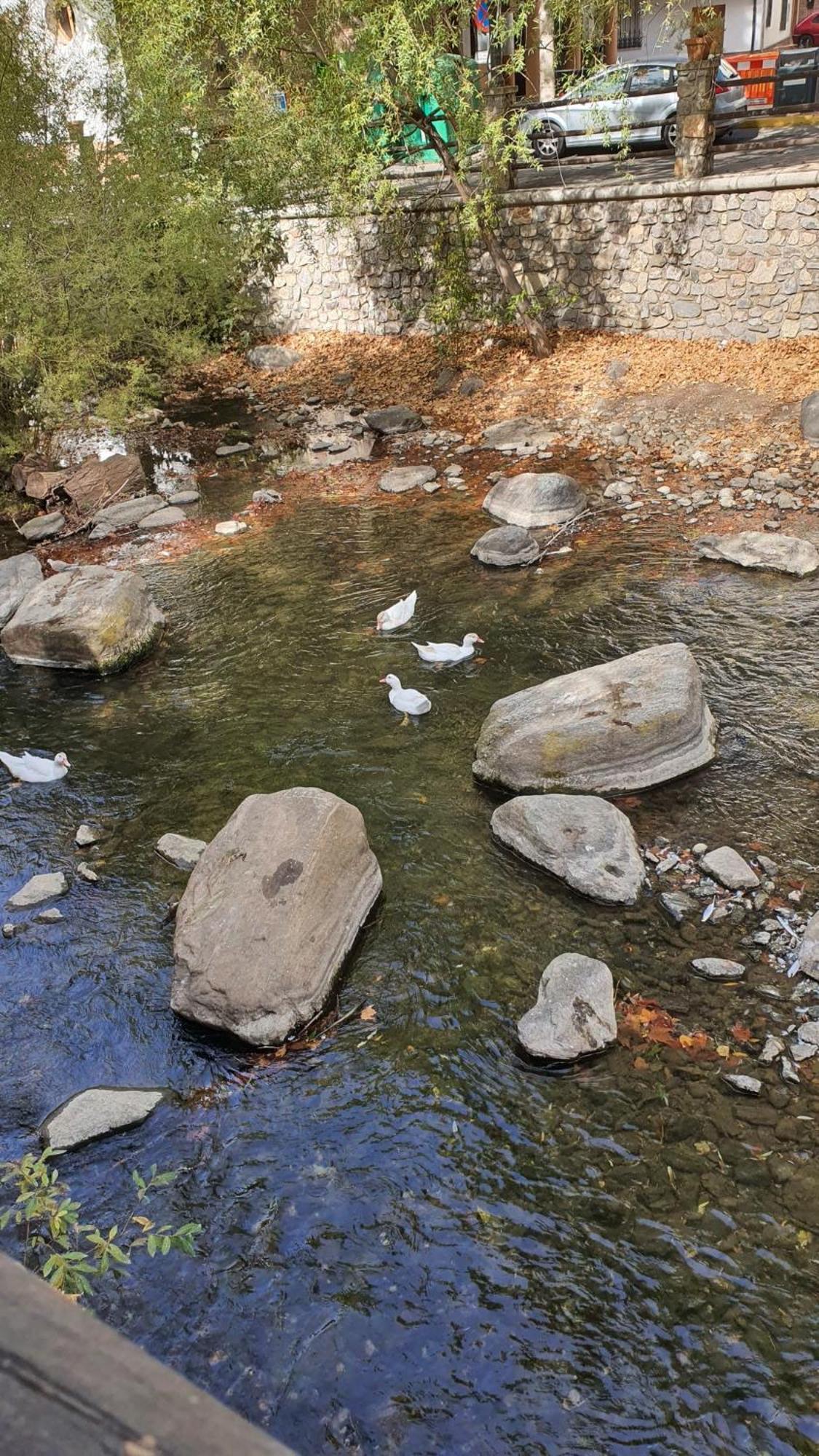 Apartmán La Colina Ladyblue Apto Acogedor Cerca De Sierra Nevada Y Alhambra Cenes De La Vega Exteriér fotografie